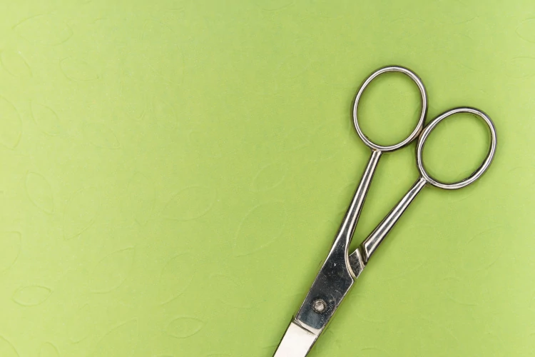 shared/static/shared/scissors.webp